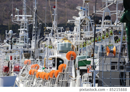 停泊在函館港的北海道函館魷魚漁船 85215888