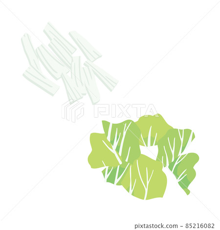 Chinese cabbage chopped core and leaves shredded 85216082