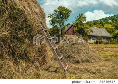 Village. Haystack with a wooden ladder Village. Haystack with a wooden ladder 85216637