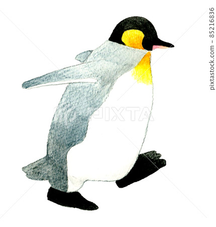 Sideways illustration of a walking king penguin cute hand-painted watercolor illustration material 85216836