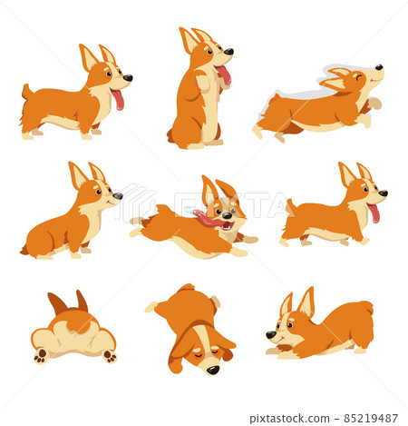 Corgi dog character set with different emotions 85219487