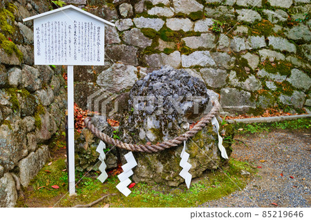吉田神社Sazareishi(京都市左京區) 吉田神社Sazareishi(京都市左京區) 85219646