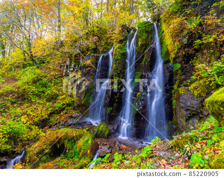 Waterfall in the mountains surrounded by autumn leaves (Yamagata Prefecture, Zao Chuo Kogen, Fudo Waterfall) 85220905