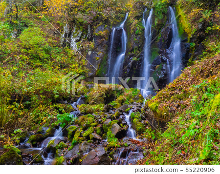 初秋的山間瀑布(山形縣、藏王中央高原、不動瀑布) 初秋的山間瀑布(山形縣、藏王中央高原、不動瀑布) 85220906