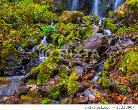 Mossy rocks and river water flowing down (Yamagata Prefecture, Zao Chuo Kogen, Fudo Waterfall) 85220907
