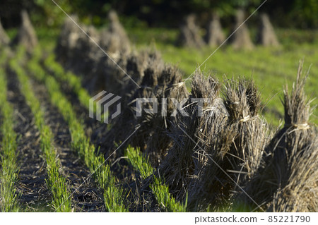 Straw triangle hat 85221790