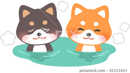 Shiba Inu in a hot spring 85221853