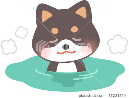 Kuroshiba in a hot spring 85221854