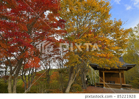 Autumn leaves of Yokotani Kannon Autumn leaves of Yokotani Kannon 85221928