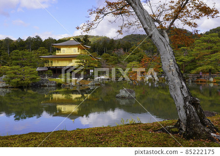 Kinkakuji 85222175