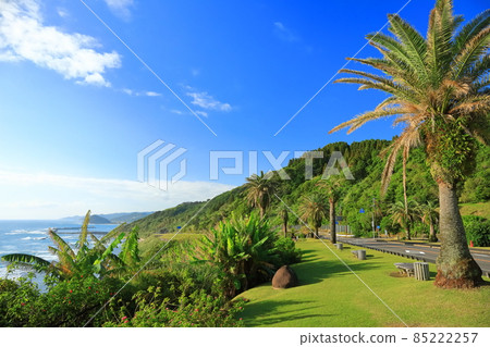 [Miyazaki Prefecture] Nichinan coast under sunny weather (Roadside Station Phoenix) 85222257