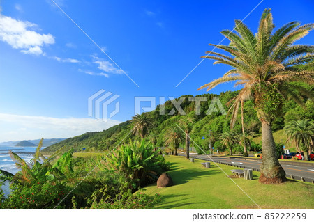 [Miyazaki Prefecture] Nichinan coast under sunny weather (Roadside Station Phoenix) 85222259