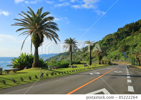 [Miyazaki Prefecture] Nichinan coast under sunny weather (Roadside Station Phoenix) 85222264