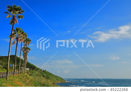[Miyazaki Prefecture] Nichinan coast under sunny weather (Roadside Station Phoenix) 85222268