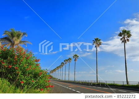 [Miyazaki Prefecture] Nichinan coast under sunny weather (Roadside Station Phoenix) 85222272