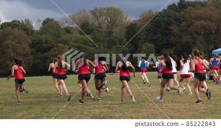 Rear view of the start of a high school girls 5K cross country race Rear view of the start of a high school girls 5K cross country race 85222843