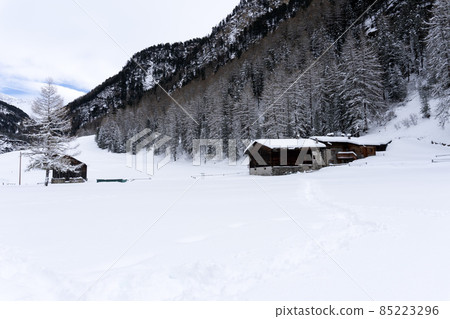 snow hiking forest panorama landscape mountains of Santa Caterina valfurva italian Alps in winter 85223296