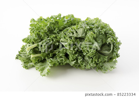 羽衣甘藍 85223334