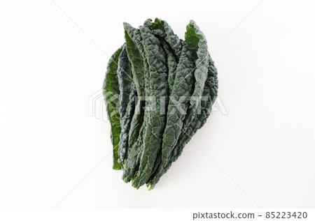 Black cabbage 85223420