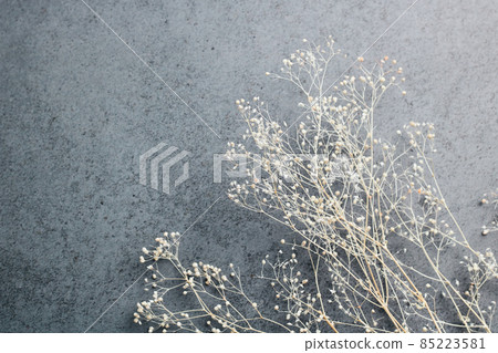 陰霾草乾花 85223581