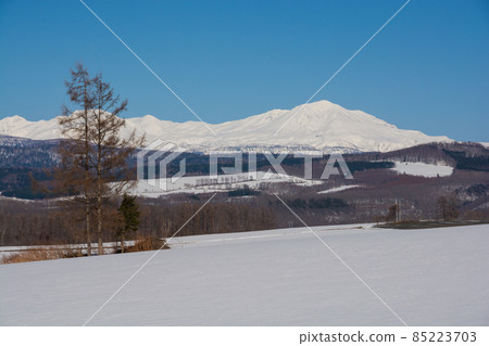 Snowy fields and snowy mountains Daisetsuzan Asahidake 85223703