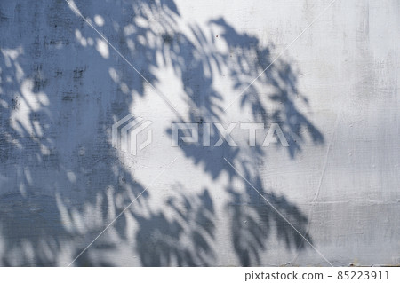 A gray shadow of leaves on a light wall. Abstract neutral background of the concept of nature. Space for text. High quality photo A gray shadow of leaves on a light wall. Abstract neutral background of the concept of nature. Space for text. High quality photo 85223911