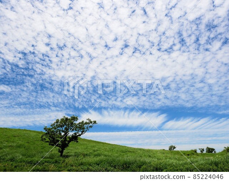 Aso, Kumamoto Prefecture Fresh green grassland and blue sky 85224046