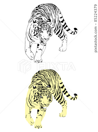 Tiger silhouette monochrome 85224379