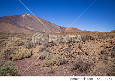 Plains view in Teide National Park with blue clear sky, Tenerife 85224765