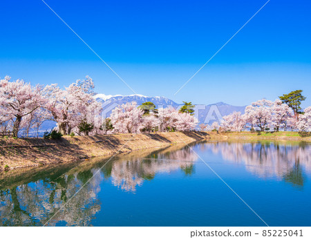 春天信州高遠櫻花景觀 春天信州高遠櫻花景觀 85225041