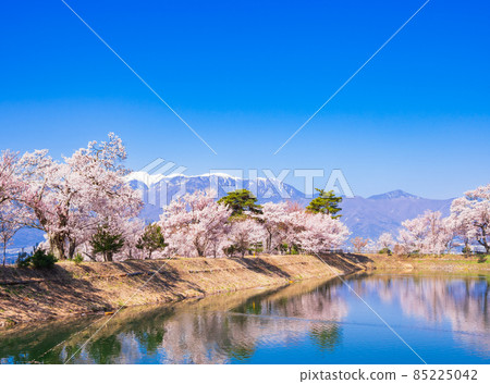 春天信州高遠櫻花景觀 春天信州高遠櫻花景觀 85225042