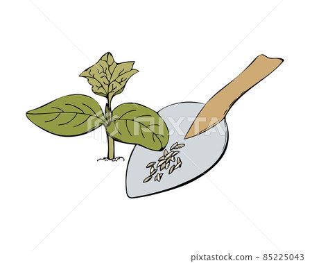 Sprout soil and seeds of cucumber, vector hand drawn illustration. Doodle Garden Plants, Seedlings. Contour image, contour. Isolated, white background. Sprout soil and seeds of cucumber, vector hand drawn illustration. Doodle Garden Plants, Seedlings. Contour image, contour. Isolated, white background. 85225043