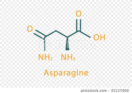 Asparagine chemical formula. Asparagine structural chemical formula isolated on transparent background. Asparagine chemical formula. Asparagine structural chemical formula isolated on transparent background. 85225908