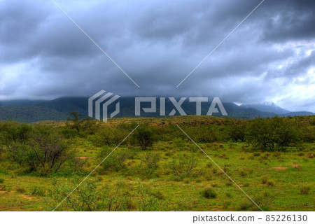 Chiricahua Mountains 85226130