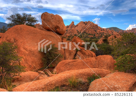 Texas Canyon 85226131