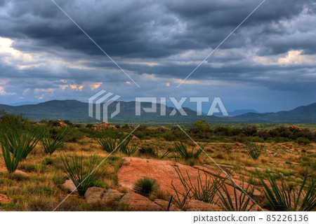 Texas Canyon 85226136