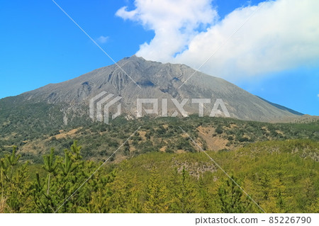 [Kagoshima Prefecture] Sakurajima seen from the Arimura Lava Observatory 85226790