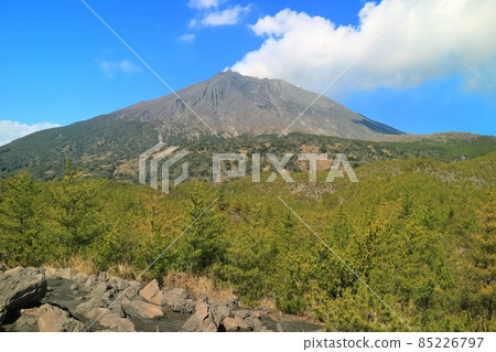 [鹿兒島縣]從有村熔岩天文台看到的櫻島 85226797