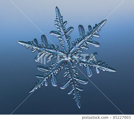 Snowflake on smooth gradient background. Macro photo of real snow crystal on glass surface. This is small snowflake with unusual pattern. 85227003