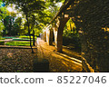 A piece in a beautiful park 85227046