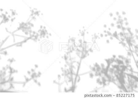 Summer background from the shadow of a sprig of field grass on a white wall. White and black for photo or mockup 85227175