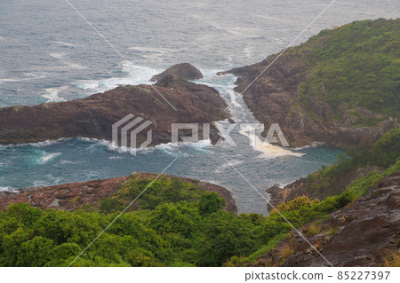 The wishes come true Cruz sea 85227397