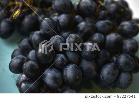Freshly washed red grapes in a colander Freshly washed red grapes in a colander 85227541