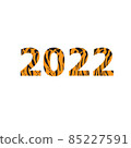 2022 new year digits covered with tiger skin pattern 85227591