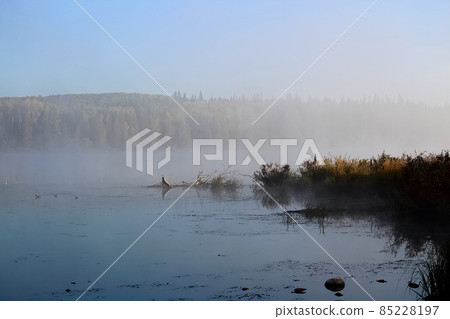 Morning mist rising off of Alberta Lake Morning mist rising off of Alberta Lake 85228197