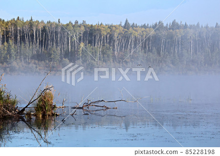 Morning mist rising off of Alberta Lake Morning mist rising off of Alberta Lake 85228198