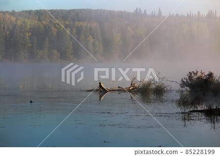 Morning mist rising off of Alberta Lake Morning mist rising off of Alberta Lake 85228199