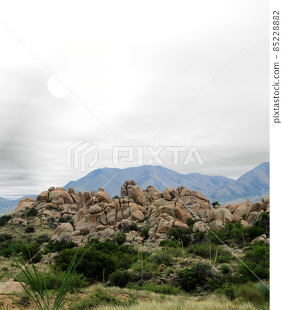 Texas Canyon Sonora Desert Arizona Texas Canyon Sonora Desert Arizona 85228882