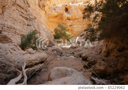 in the rocky canyon of the riverbed near the resort town of Ein Bokek in the rocky canyon of the riverbed near the resort town of Ein Bokek 85229062