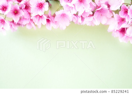Cherry spring image Cherry spring image 85229241